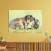 Kutest Baby Animals | Familie Alpine Marmot Canvas Afdruk (Insitu (Woonkamer))