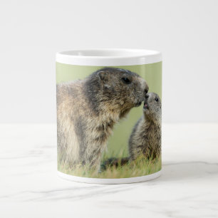 Kutest Baby Animals   Familie Alpine Marmot Grote Koffiekop