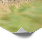 Kutest Baby Animals | Familie Alpine Marmot Poster (Hoek)