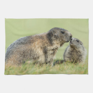 Kutest Baby Animals Familie Alpine Marmot Theedoek