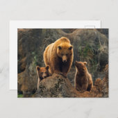 Kutest Baby Animals | Familie bruin Beer Briefkaart (Voorkant / Achterkant)