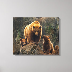 Kutest Baby Animals Familie bruin Beer Canvas Afdruk