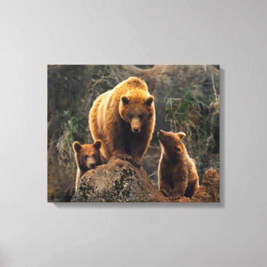 Kutest Baby Animals | Familie bruin Beer Canvas Afdruk (Voorkant)