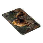 Kutest Baby Animals | Familie bruin Beer Magneet (Rechterzijde)