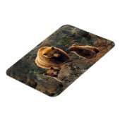 Kutest Baby Animals | Familie bruin Beer Magneet (Linkerzijde)