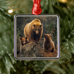 Kutest Baby Animals   Familie bruin Beer Metalen Ornament