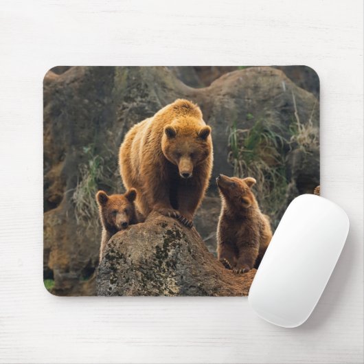 Kutest Baby Animals | Familie bruin Beer Muismat (Met muis)