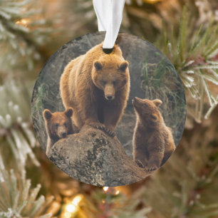 Kutest Baby Animals   Familie bruin Beer Ornament