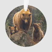 Kutest Baby Animals | Familie bruin Beer Ornament (voorkant)