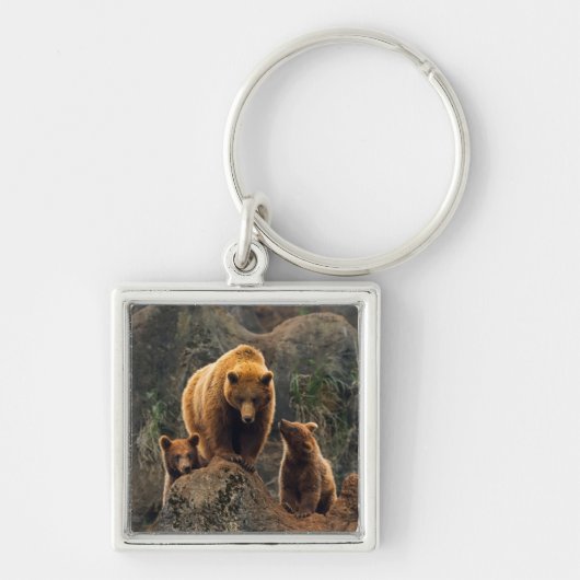 Kutest Baby Animals | Familie bruin Beer Sleutelhanger (Voorkant)