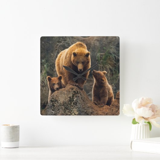 Kutest Baby Animals | Familie bruin Beer Vierkante Klok (Huis)