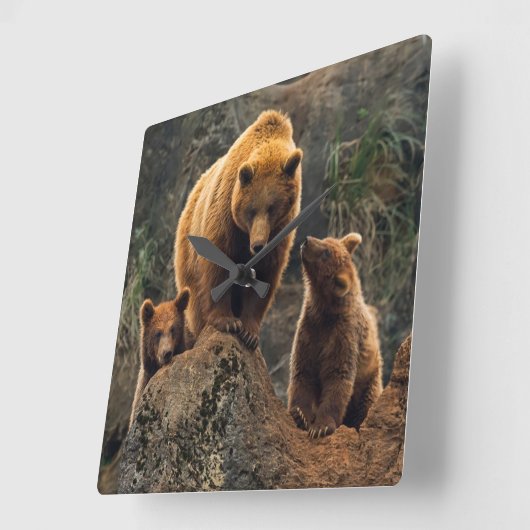 Kutest Baby Animals | Familie bruin Beer Vierkante Klok (Hoek)