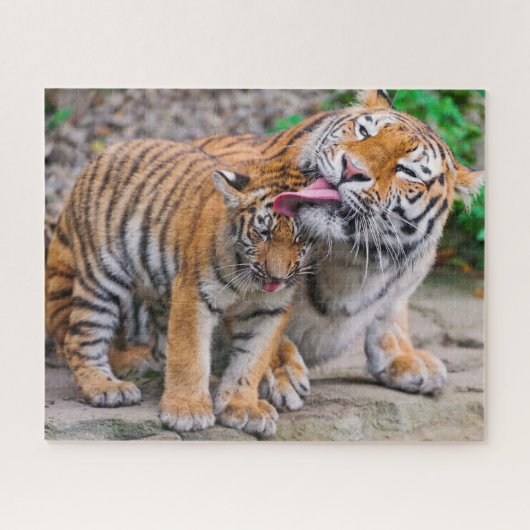 Kutest Baby Animals | Familie Siberië Tiger Legpuzzel (Horizontaal)