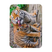 Kutest Baby Animals | Familie Siberië Tiger Magneet (Verticaal)
