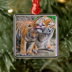 Kutest Baby Animals   Familie Siberië Tiger Metalen Ornament
