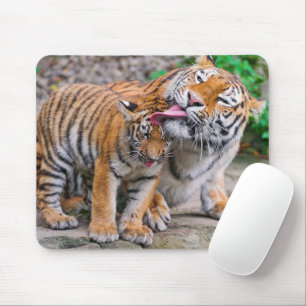 Kutest Baby Animals Familie Siberië Tiger Muismat
