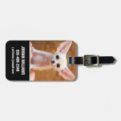 Kutest Baby Animals | Fennec Fox Bagagelabel (Voorkant horizontaal)