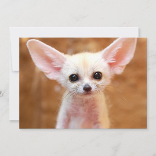 Kutest Baby Animals | Fennec Fox Bedankkaart (Voorkant)