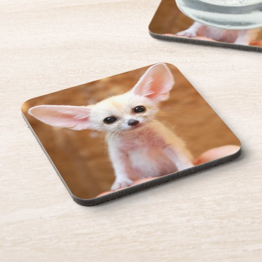 Kutest Baby Animals | Fennec Fox Bier Onderzetter (Linkerzijde)
