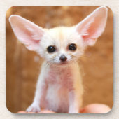 Kutest Baby Animals | Fennec Fox Bier Onderzetter (Voorkant)