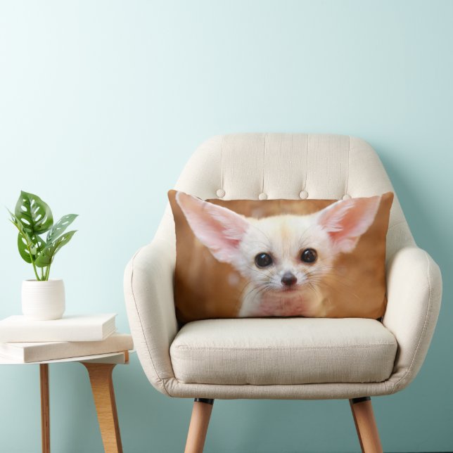 Kutest Baby Animals | Fennec Fox Kussen (Stoel)