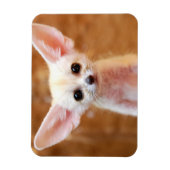 Kutest Baby Animals | Fennec Fox Magneet (Verticaal)