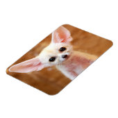 Kutest Baby Animals | Fennec Fox Magneet (Linkerzijde)