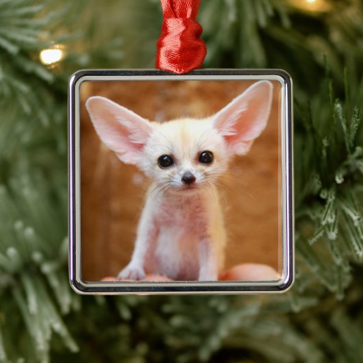 Kutest Baby Animals | Fennec Fox Metalen Ornament (Boom)