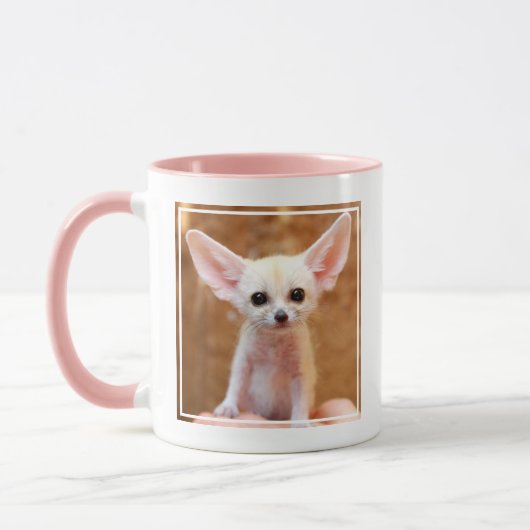 Kutest Baby Animals | Fennec Fox Mok (Links)