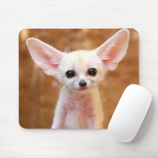 Kutest Baby Animals | Fennec Fox Muismat (Met muis)