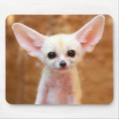 Kutest Baby Animals | Fennec Fox Muismat (Voorkant)