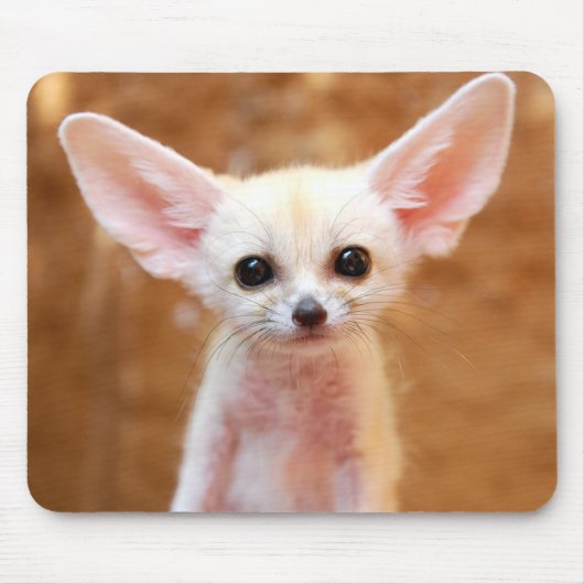 Kutest Baby Animals | Fennec Fox Muismat (Voorkant)
