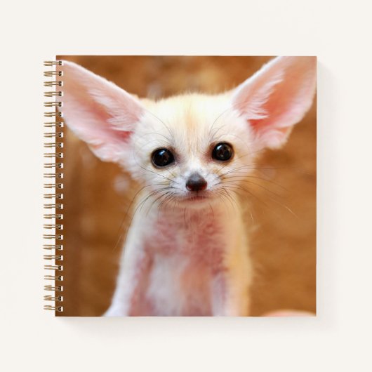 Kutest Baby Animals | Fennec Fox Notitieboek (Voorkant)