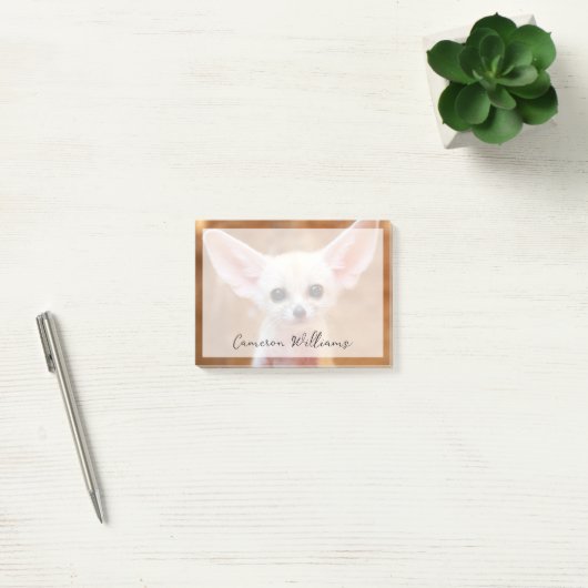 Kutest Baby Animals | Fennec Fox Post-it® Notes (Kantoor)