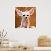 Kutest Baby Animals | Fennec Fox Poster (Keuken)