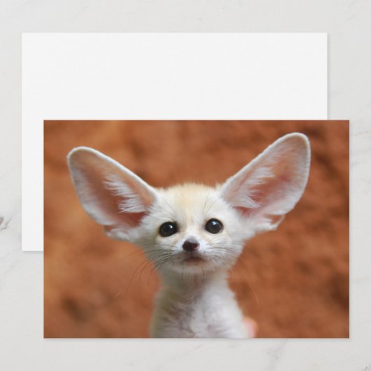 Kutest Baby Animals | Fennec Fox Pup Bedankkaart (Voorkant / Achterkant)