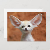 Kutest Baby Animals | Fennec Fox Pup Briefkaart (Voorkant / Achterkant)