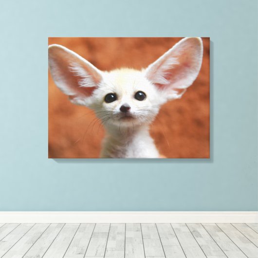 Kutest Baby Animals | Fennec Fox Pup Canvas Afdruk (Insitu (Houten vloer))