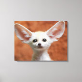 Kutest Baby Animals | Fennec Fox Pup Canvas Afdruk (Voorkant)