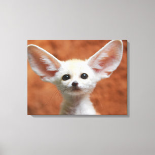 Kutest Baby Animals   Fennec Fox Pup Canvas Afdruk