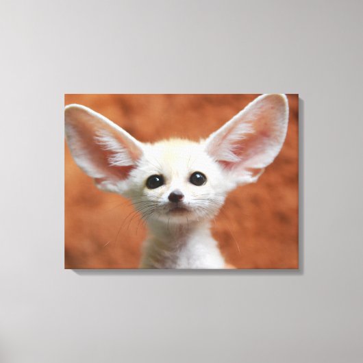 Kutest Baby Animals | Fennec Fox Pup Canvas Afdruk (Voorkant)