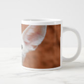 Kutest Baby Animals | Fennec Fox Pup Grote Koffiekop (Rechts)