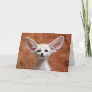 Kutest Baby Animals   Fennec Fox Pup Kaart