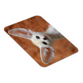 Kutest Baby Animals | Fennec Fox Pup Magneet (Rechterzijde)