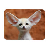 Kutest Baby Animals | Fennec Fox Pup Magneet (Horizontaal)
