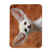 Kutest Baby Animals | Fennec Fox Pup Magneet (Verticaal)