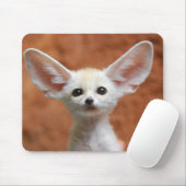 Kutest Baby Animals | Fennec Fox Pup Muismat (Met muis)