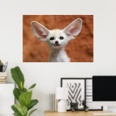 Kutest Baby Animals | Fennec Fox Pup Poster (Thuiskantoor)
