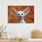 Kutest Baby Animals | Fennec Fox Pup Poster (Keuken)