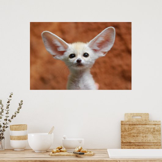 Kutest Baby Animals | Fennec Fox Pup Poster (Keuken)